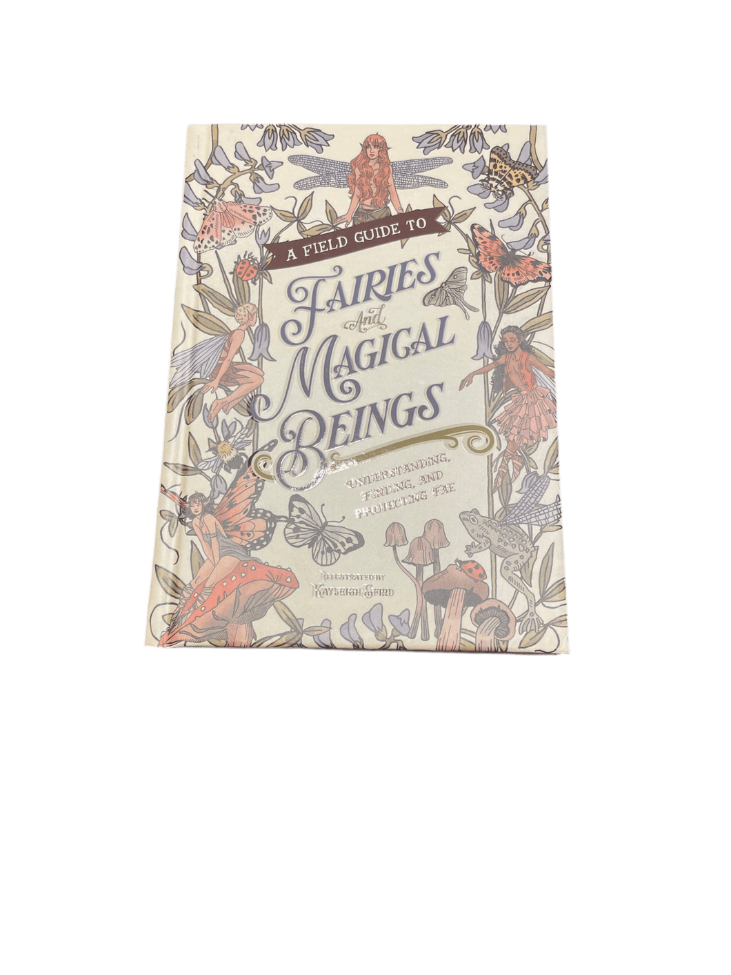 A Field Guide To Fairies & Magical Beings Illustrated By Kayleigh Efird - Witch Chest