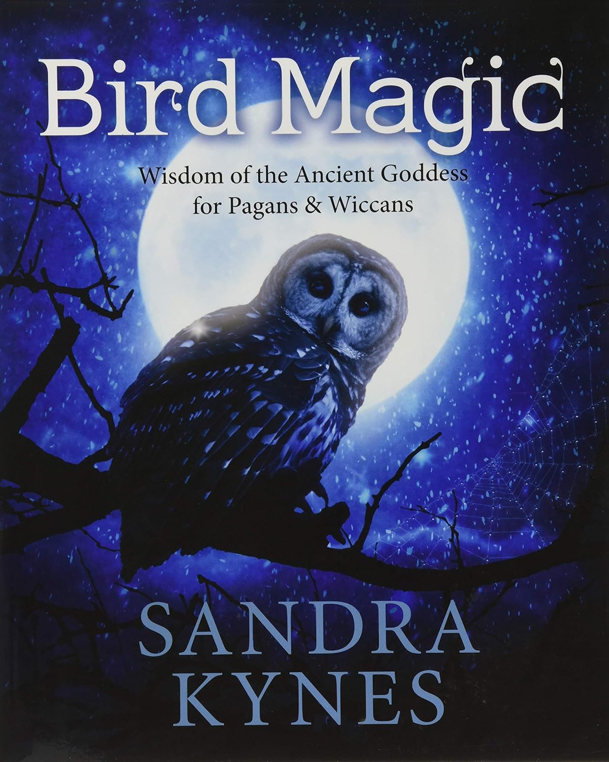 Bird Magic by Sandra Kynes - Witch Chest