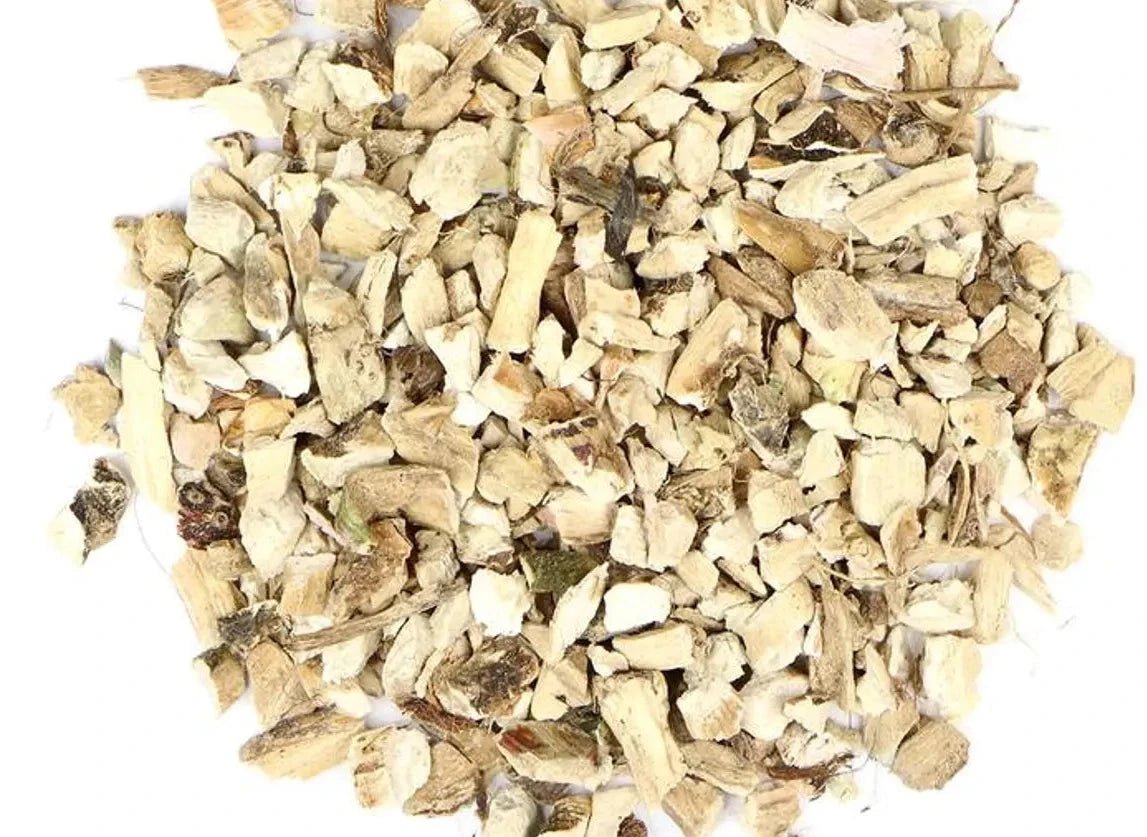 Calamus Root (Organic) - 5g – Witch Chest