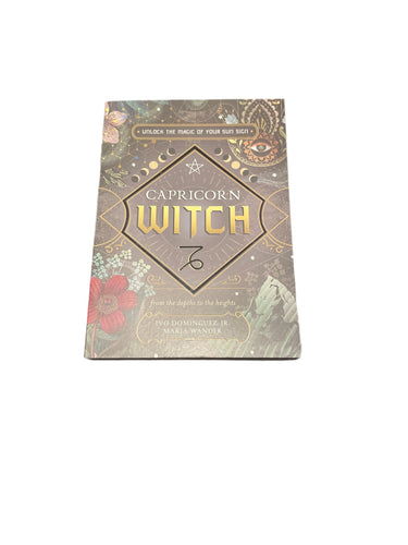 Capricorn Witch By Ivo Dominguez JR & Maria Wander - Witch Chest