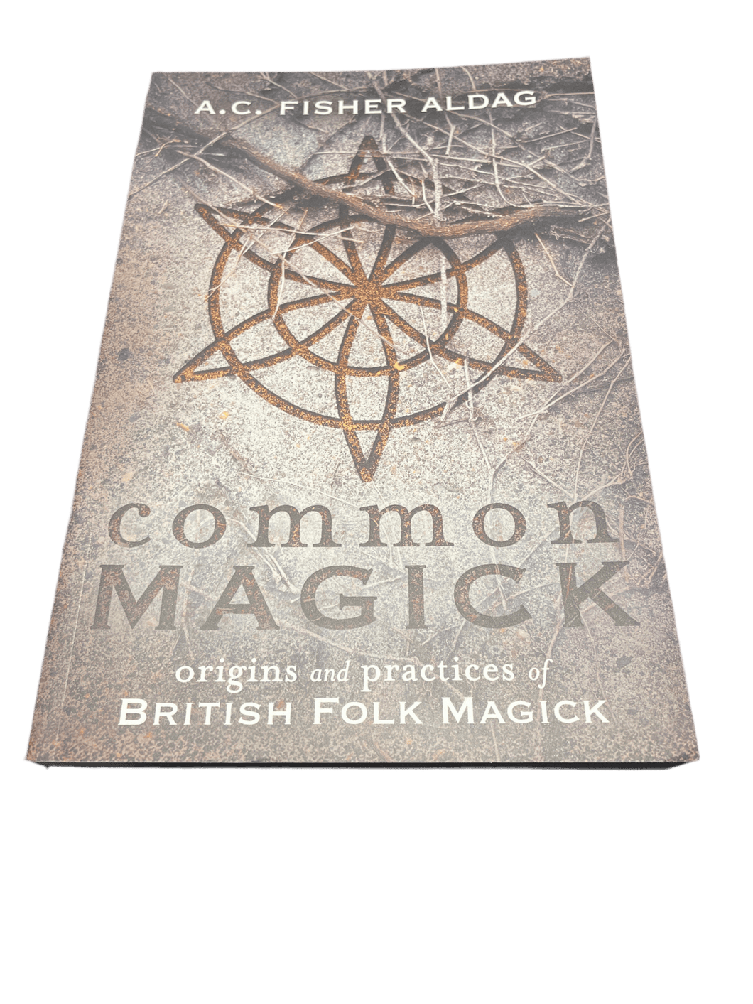 Common Magick by A.C. Fisher Aldag - Witch Chest