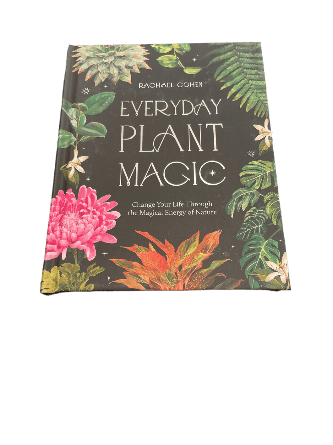 Everyday Plant Magic By Rachael Cohen - Witch Chest