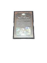 Load image into Gallery viewer, Everyday Witch’s Familiars Oracle By Deborah Blake &amp; Elizabeth Alba - Witch Chest