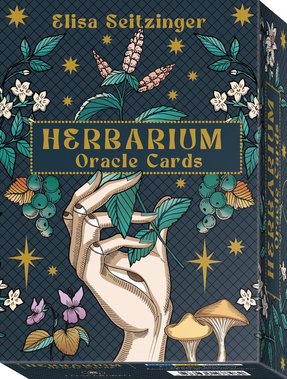 Herbarium Oracle Cards by Elisa Seitzinger - Witch Chest