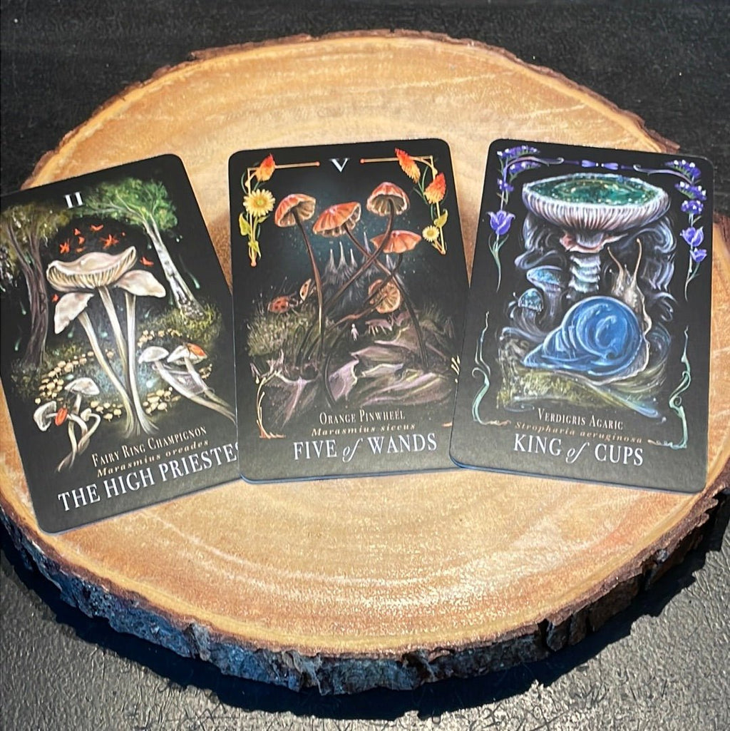 Midnight Magic Tarot Deck By Sara Richard - Witch Chest