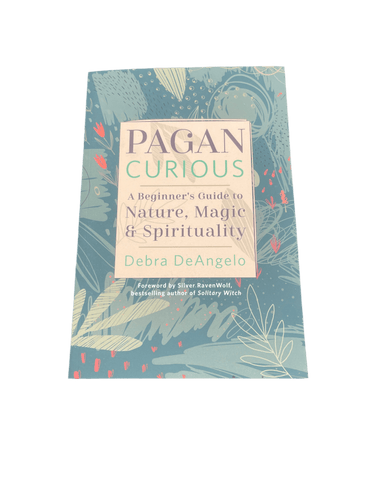 Pagan Curious By Debra DeAngelo - Witch Chest