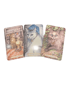 Soul Cats Tarot By Leeza Robertson - Witch Chest