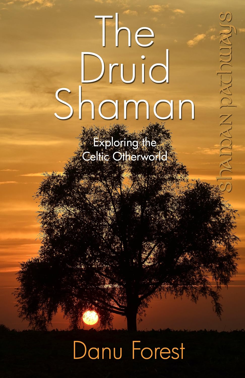 The Druid Shaman By Danu Forest - Witch Chest