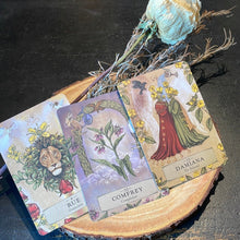 Load image into Gallery viewer, The Herbal Astrology Oracle By Adriana Ayales - Witch Chest