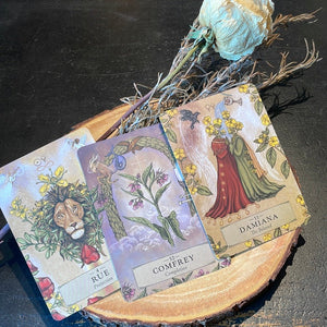 The Herbal Astrology Oracle By Adriana Ayales - Witch Chest