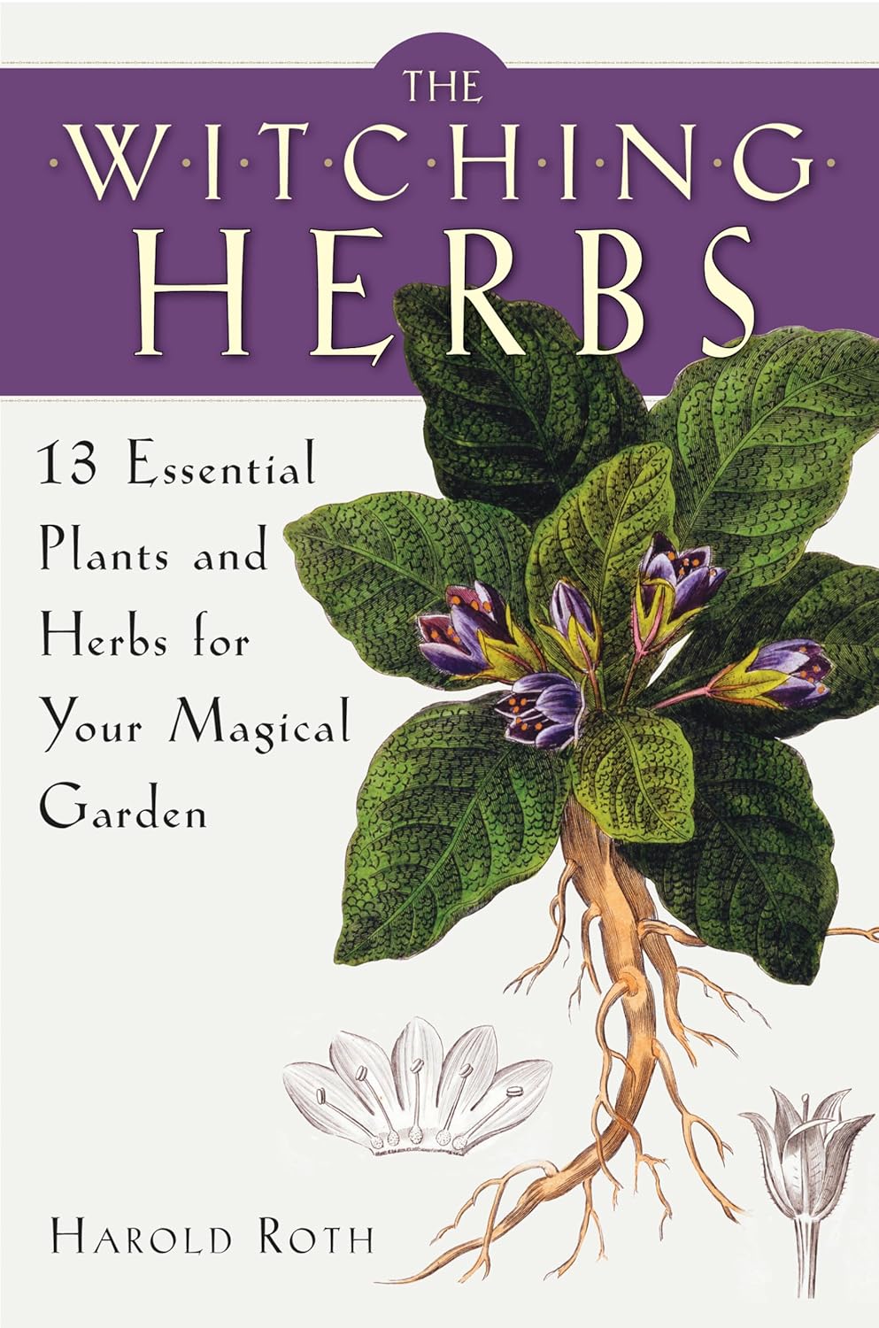 The Witching Herbs: 13 Essential Plants and Herbs for Your Magical Garden by Harold Roth - Witch Chest