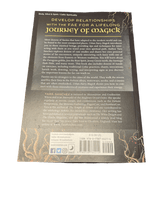 Load image into Gallery viewer, Urban Faery Magick by Tara Sanchez - Witch Chest