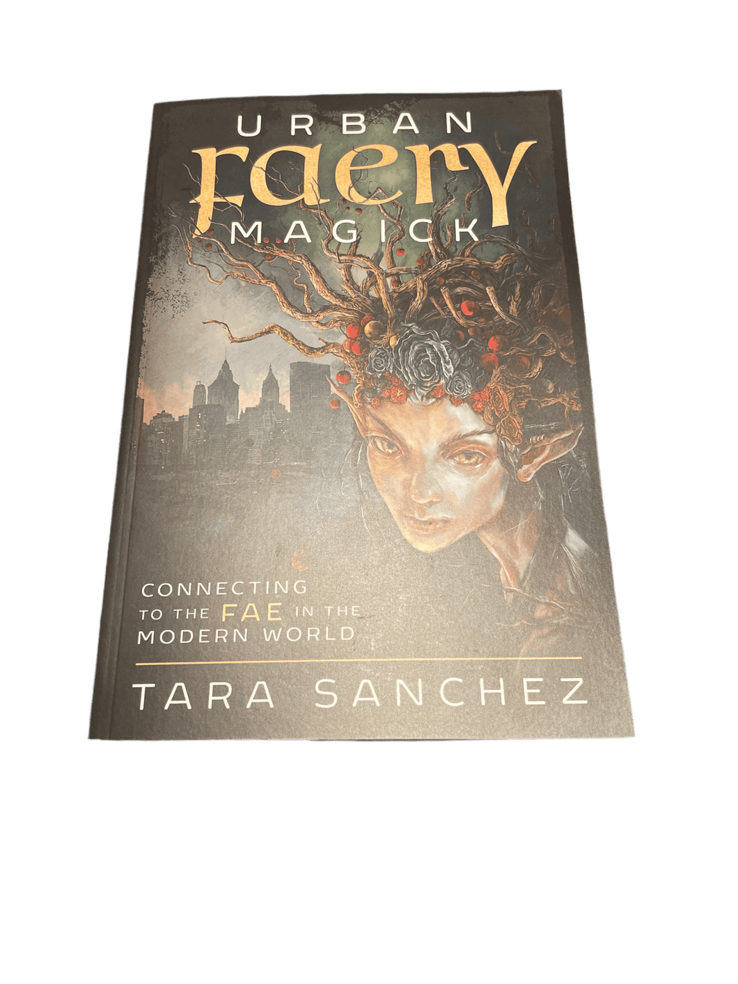 Urban Faery Magick by Tara Sanchez - Witch Chest