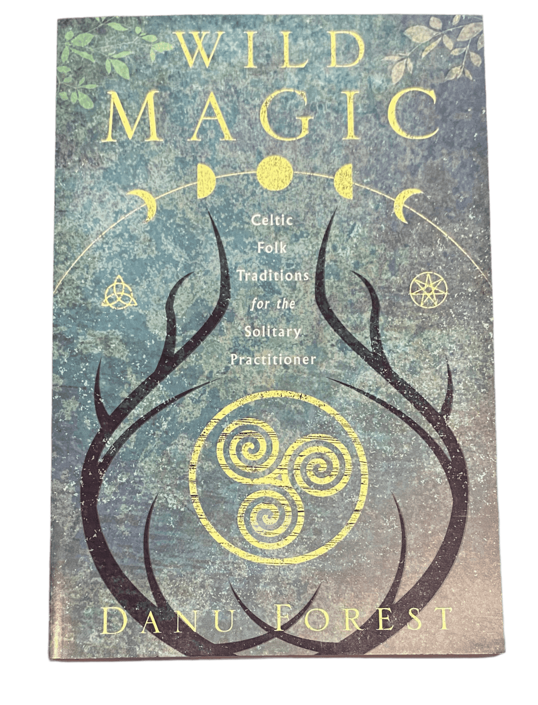 Wild Magic By Danu Forest - Witch Chest