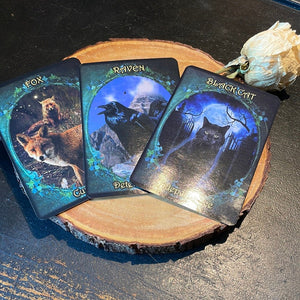 Witches’ Familiars Oracle Deck By Barbara Meiklejohn-Free & Flavia Kate Peters - Witch Chest