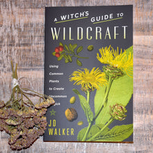 Load image into Gallery viewer, A Witch’s Guide To Wildcraft Book By JD Walker - Witch Chest