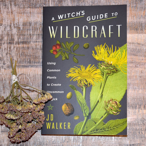 A Witch’s Guide To Wildcraft Book By JD Walker - Witch Chest