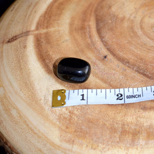 Black Obsidian - India - Witch Chest