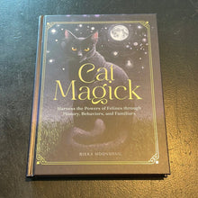 Load image into Gallery viewer, Cat Magick By Rieka Moonsong - Witch Chest