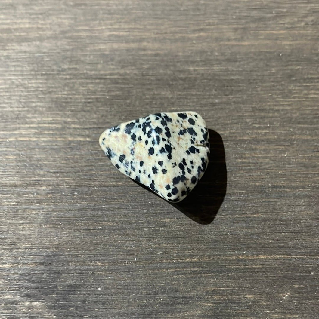Dalmatian Jasper - Mexico - Witch Chest