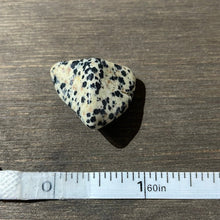 Load image into Gallery viewer, Dalmatian Jasper - Mexico - Witch Chest