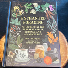 Load image into Gallery viewer, Enchanted Foraging By Ebony Gheorghe - Witch Chest