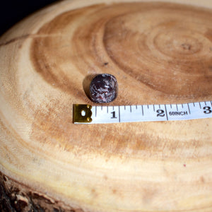 Garnet (Rough) - Brazil - Witch Chest