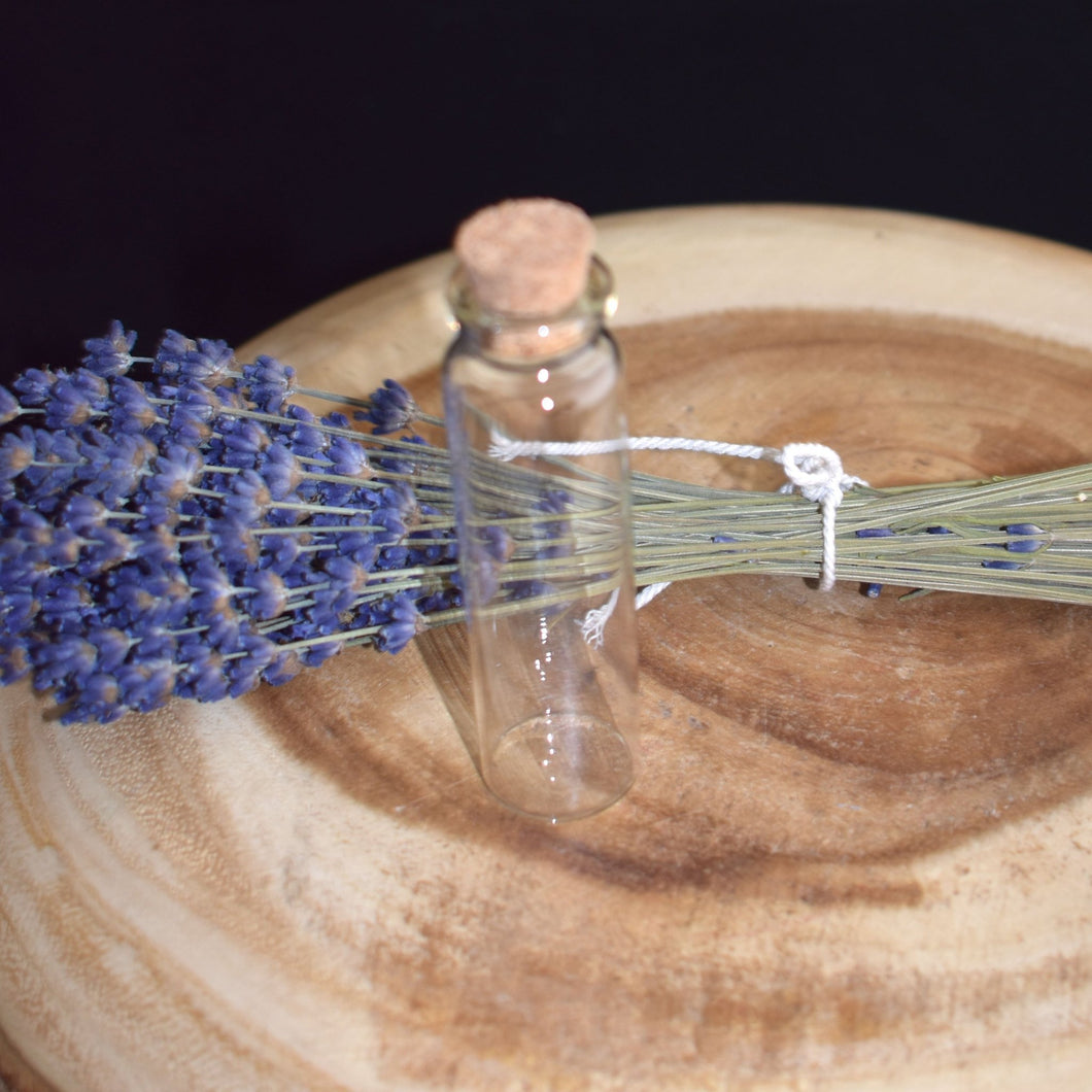 Glass Jars- 4 Types - witchchest