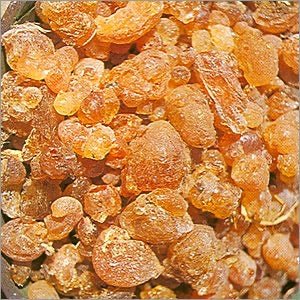Gum Arabic Resin - 10g - Witch Chest