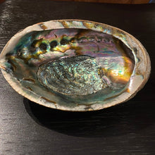 Load image into Gallery viewer, Large Abalone Shell -1 Shell - Witch Chest