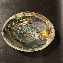 Load image into Gallery viewer, Large Abalone Shell -1 Shell - Witch Chest