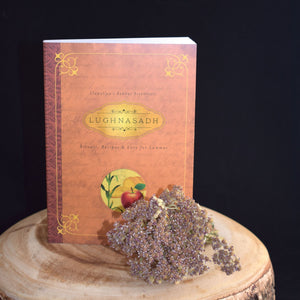 Llewellyn's Sabbat Essential Books - 4 Types - witchchest