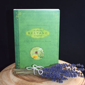 Llewellyn's Sabbat Essential Books - 4 Types - witchchest