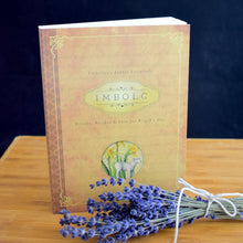 Load image into Gallery viewer, Llewellyn&#39;s Sabbat Essential Books - 4 Types - witchchest