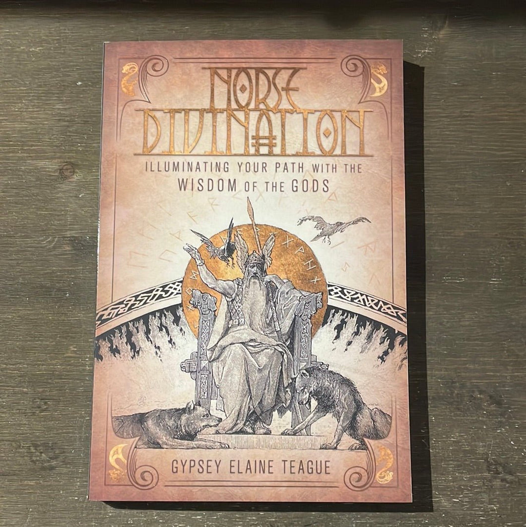 Norse Divination Book By Gypsey Elaine Teague - Witch Chest