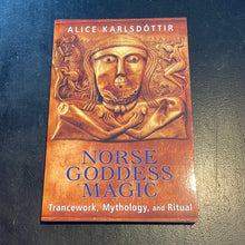 Load image into Gallery viewer, Norse Goddess Magic By Alice Karlsdottir - Witch Chest