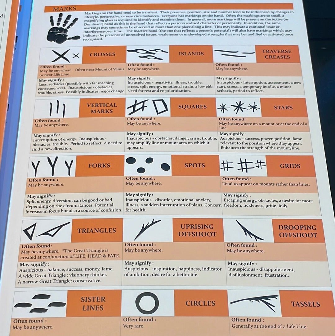 Palmistry Guide - Witch Chest