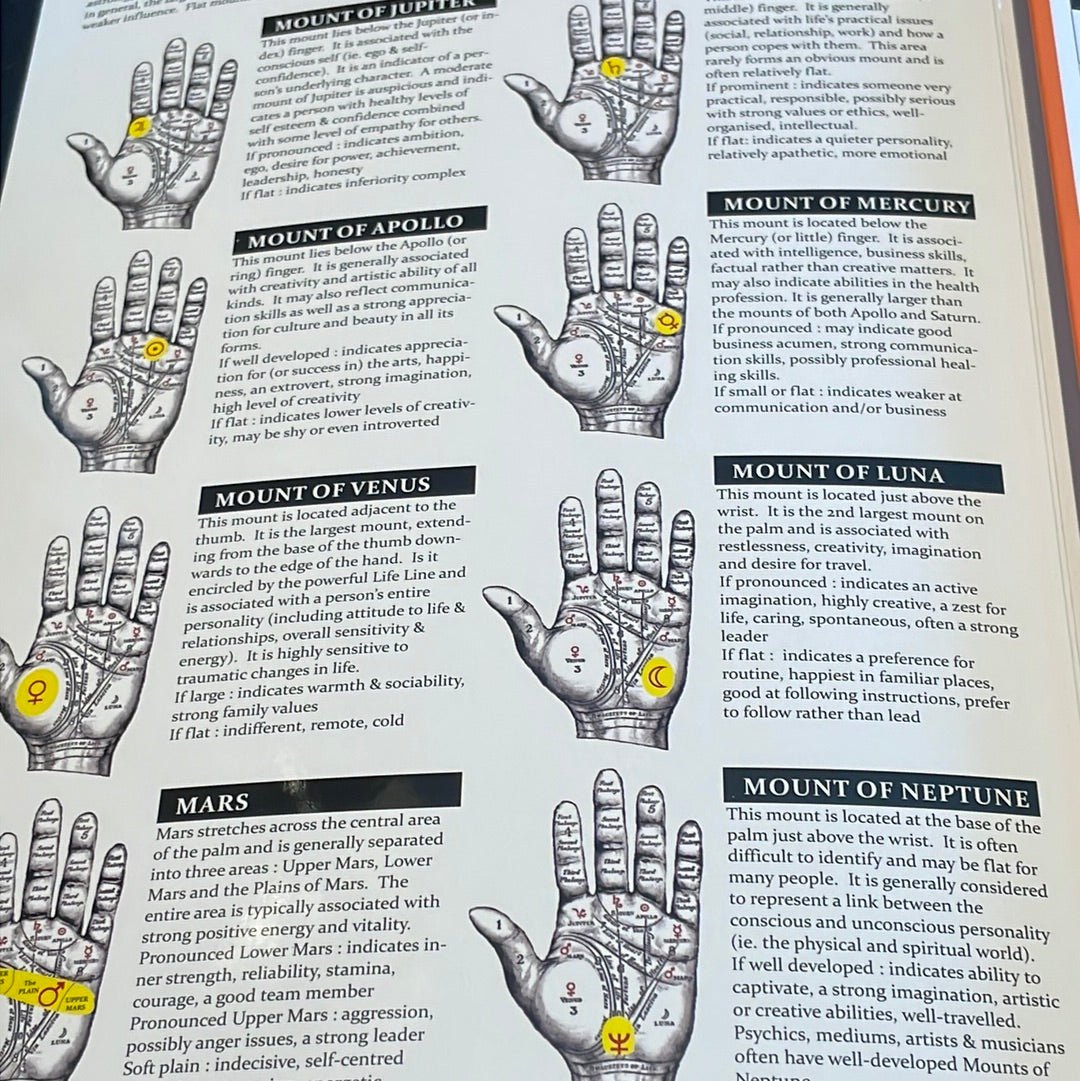 Palmistry Guide - Witch Chest