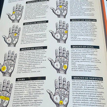 Load image into Gallery viewer, Palmistry Guide - Witch Chest