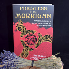 Load image into Gallery viewer, Priestess Of The Morrigan - By Stephanie Woodfield - witchchest