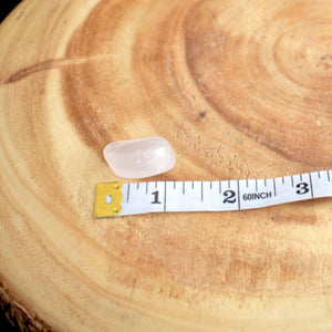 Rose Quartz- Brazil - Witch Chest