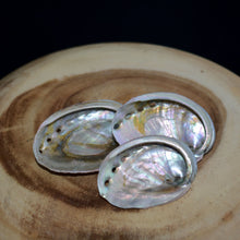 Load image into Gallery viewer, Small Red Abalone Offering Shell - (1 shell) - witchchest