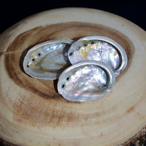Small Red Abalone Offering Shell - (1 shell) - witchchest