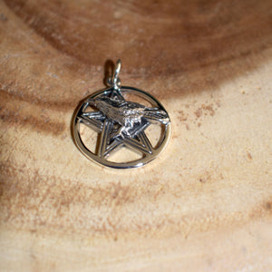 Sterling Silver Raven with Pentacle Pendant - witchchest