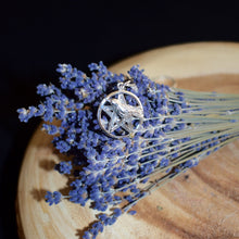 Load image into Gallery viewer, Sterling Silver Raven with Pentacle Pendant - witchchest