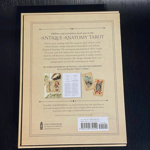 The Antique Anatomy Tarot Deck By Claire Goodchild - Witch Chest
