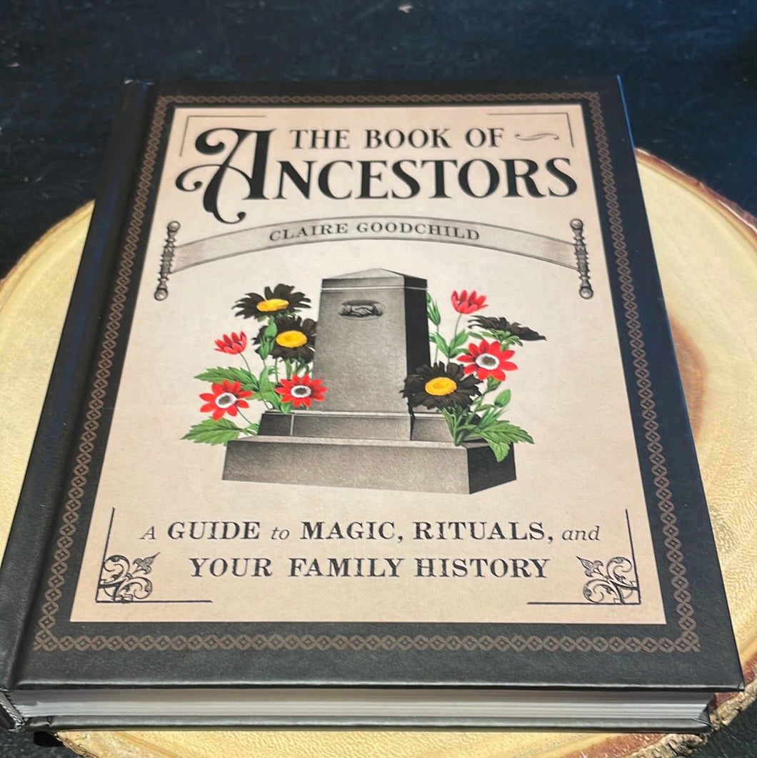 The Book Of Ancestors By Claire Goodchild - Witch Chest