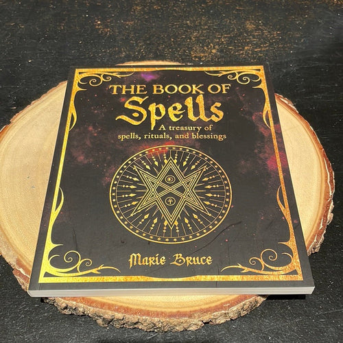 The Book Of Spells By Marie Bruce - Witch Chest