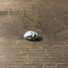 Load image into Gallery viewer, Tree Agate - Brazil - Witch Chest