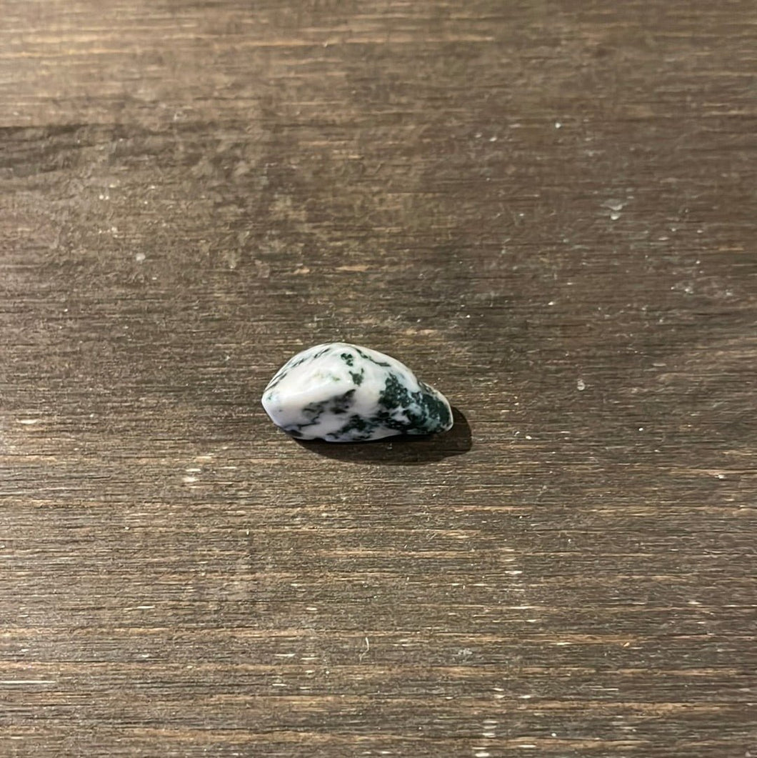 Tree Agate - Brazil - Witch Chest